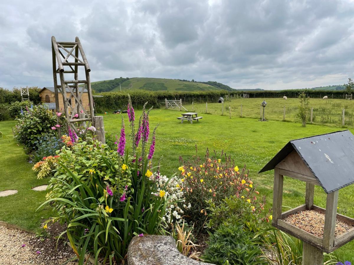 Westerley Country B & B With Exclusive Guest Lounge バックファストリー エクステリア 写真
