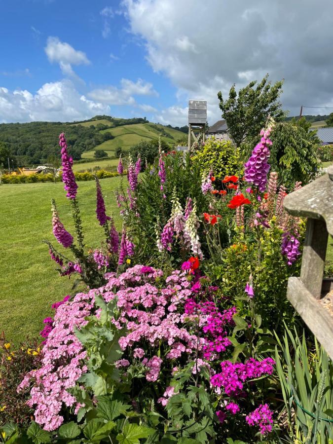 Westerley Country B & B With Exclusive Guest Lounge バックファストリー エクステリア 写真